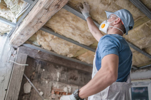 Best Insulation Contractor Near Me  in Canonsburg, PA