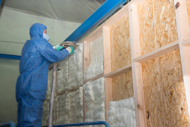Best Residential Insulation Services  in Canonsburg, PA