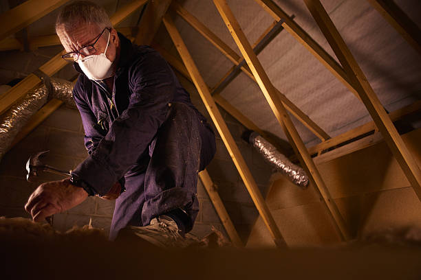 Best Professional Insulation Contractor  in Canonsburg, PA